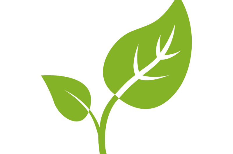 Green Icon